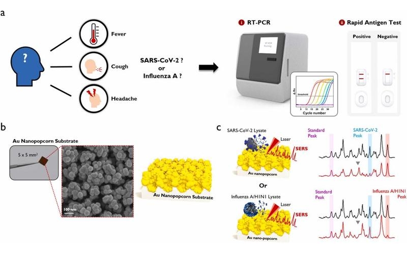 方案推荐-奥谱天成ATR8800冬季高发呼吸道疾病的快速检验