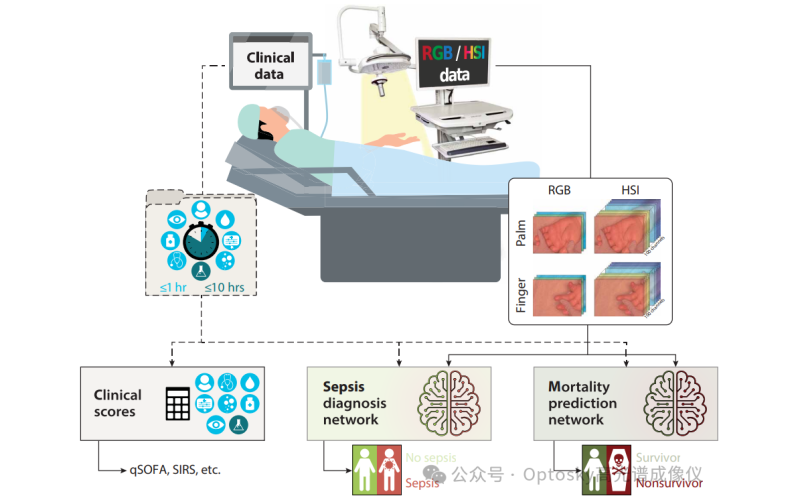 用&ldquo;光&rdquo;抢时间：高光谱成像如何让脓毒症诊断进入&ldquo;秒级时代&rdquo;&mdash;&mdash;从《Science Advances》顶级研究，看国产高光谱的临床未来