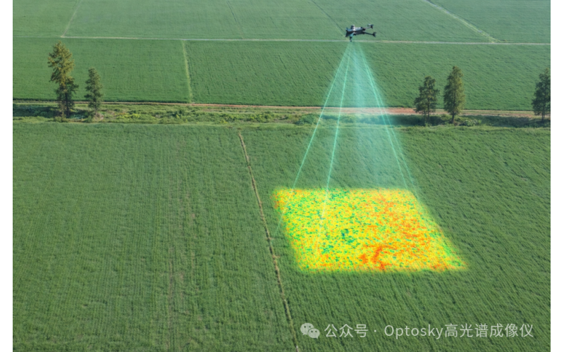 无人机遥感如何精准判定大豆成熟期？&mdash;&mdash;从前沿研究到国产高光谱的产业实践