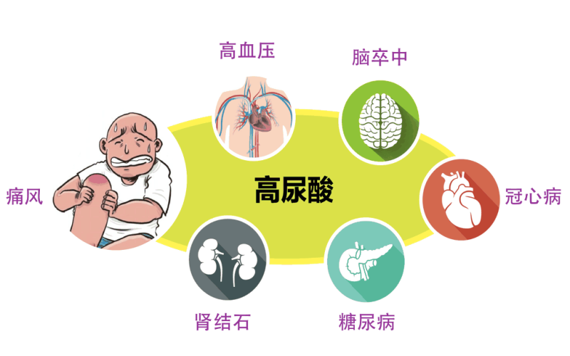 紫外吸收法测尿液尿酸｜ATP5200P紫外优化型光纤光谱仪-微量样品精准定量不漂移